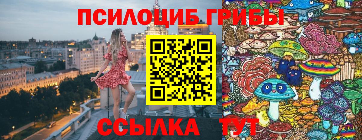 Галлюциногенные грибы Psilocybe  Вход с VPN  где купить   Сорочинск 