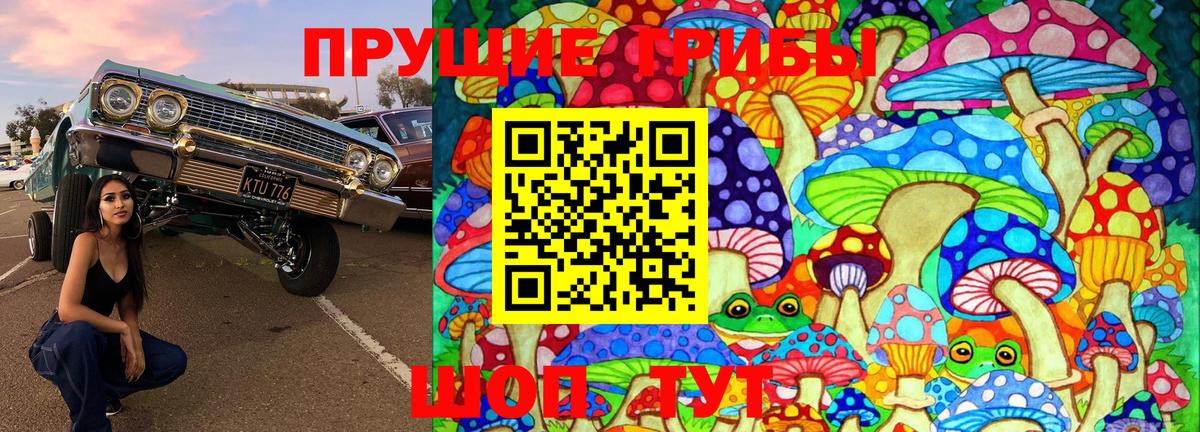 Псилоцибиновые грибы мицелий Сорочинск
